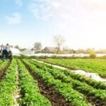 Bi-Directional Traceability Strategies: How to Protect Your Organic Supply Chain