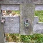 Why Stall Latches Fail Long Before the Panels Do