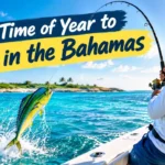 Best Time of Year to Fish in the Bahamas