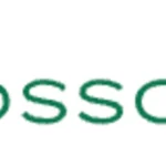 BlossomUp Reddit Questions: Evaluating the Experience After Sign-Up