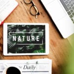 Green is the New Viral: Why Environmentalism Thrives in Social Media Marketing